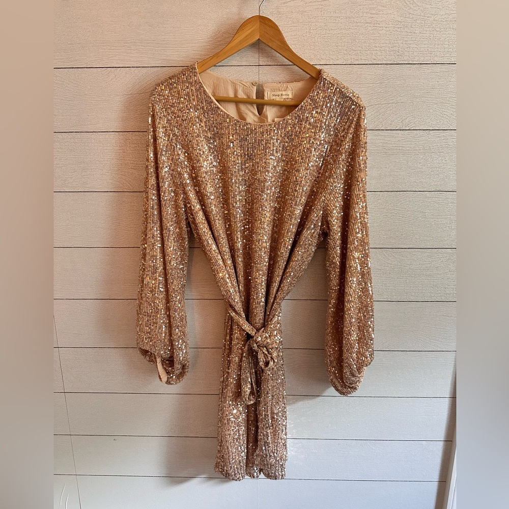 NWT ✨ Shop Stevie Tinsley Sequin Dress